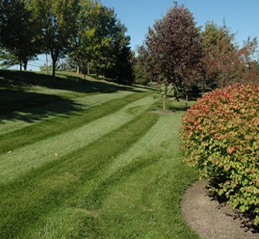 Freshly Mown Landscaping